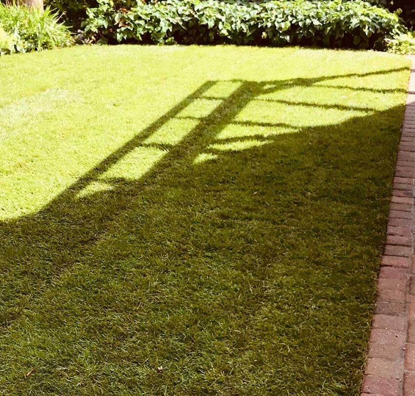 Tadday Garten: Rasen und Beetanlagen